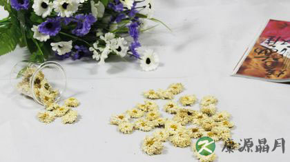 春天喝菊花茶好吗 春天喝菊花茶好吗