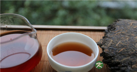春季喝普洱茶的好处 春季喝普洱茶的好处
