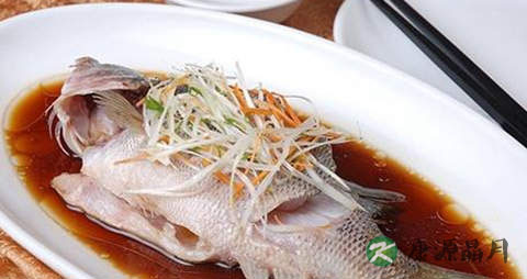 老年春季养生食谱 老年春季养生食谱