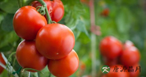 春季女人吃什么最好 春季女人吃什么最好