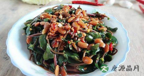 春季什么野菜能吃 春季什么野菜能吃
