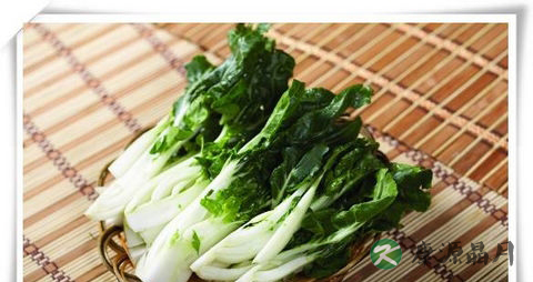 春季吃什么身体好 春季吃什么身体好