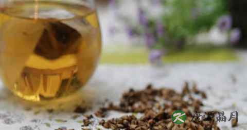 春季喝大麦茶上火吗 春季喝大麦茶上火吗