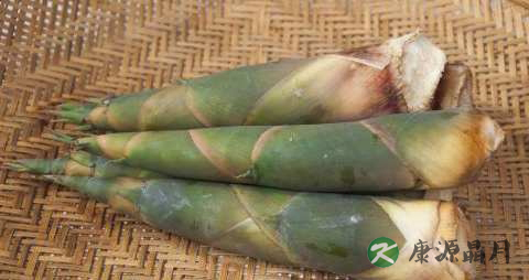 春季进补吃什么 春季进补吃什么