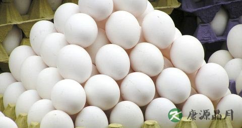 春季给孩子吃什么菜好 春季给孩子吃什么菜好
