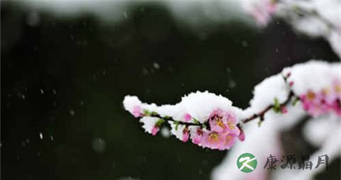 倒春寒是什么意思 倒春寒是什么意思