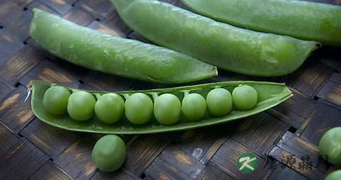 春季吃什么补阳 春季吃什么补阳