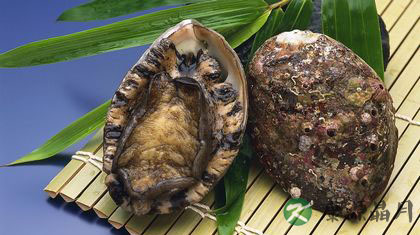 食要当季 推荐10种八月时令海鲜 食要当季 推荐10种八月时令海鲜