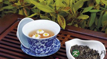 夏天喝什么茶去火 推荐12款降火茶 夏天喝什么茶去火 推荐12款降火茶