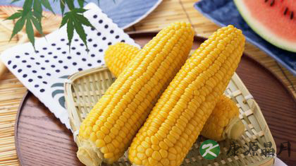 18种八月当季蔬菜 吃出夏日健康 18种八月当季蔬菜 吃出夏日健康
