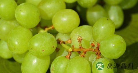 适合夏天喝的果汁 适合夏天喝的果汁