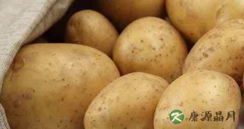 18种八月当季蔬菜 吃出夏日健康 18种八月当季蔬菜 吃出夏日健康