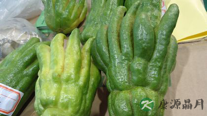 夏季吃什么蔬菜好 竹笙刮油南瓜养胃 夏季吃什么蔬菜好 竹笙刮油南瓜养胃