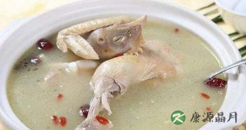 夏季养脾吃什么好 夏季养脾吃什么好