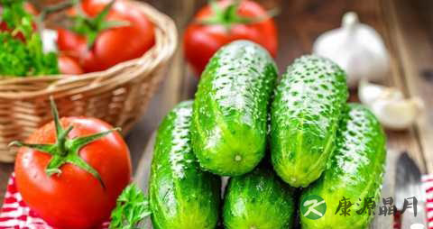 适合夏天吃的菜 适合夏天吃的菜