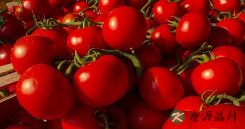 夏季当季水果 夏季当季水果