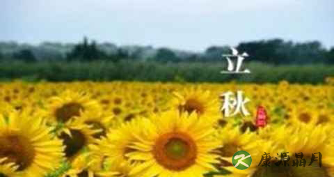 贴秋膘是何意思 贴秋膘是何意思
