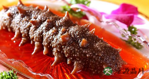 秋季吃海参好吗 秋季吃海参好吗