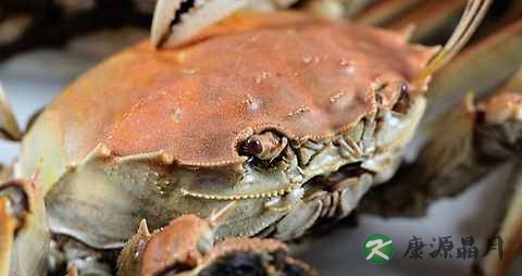 秋燥吃什么海鲜好 秋燥吃什么海鲜好