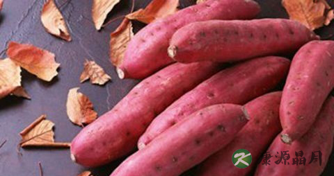 冬天吃什么菜比较好 冬天吃什么菜比较好