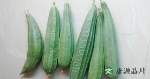 适合孕妇冬季吃的菜有哪些 适合孕妇冬季吃的菜有哪些