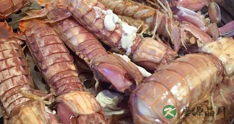 冬季吃皮皮虾的做法 冬季吃皮皮虾的做法