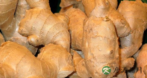 冬天吃生姜好吗 冬天吃生姜好吗