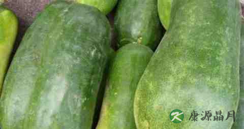 冬季吃萝卜有什么好外 冬季吃萝卜有什么好外