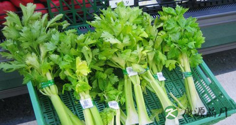 冬季吃火锅配菜大全 冬季吃火锅配菜大全