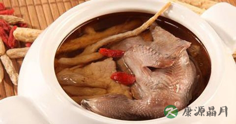 冬季吃鸽子的做法 冬季吃鸽子的做法