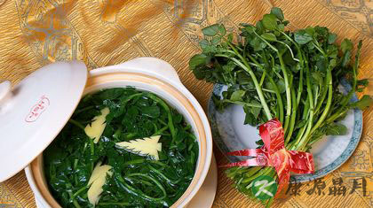 一月吃什么蔬菜好 12种当季蔬菜 一月吃什么蔬菜好 12种当季蔬菜