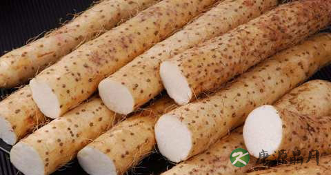 冬天吃什么补肾好 冬天吃什么补肾好