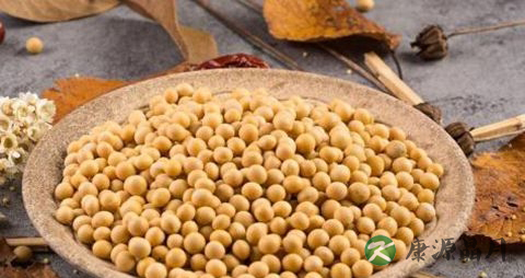 冬季适合吃的豆类 冬季适合吃的豆类