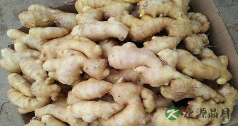 冬天吃姜的方法 冬天吃姜的方法