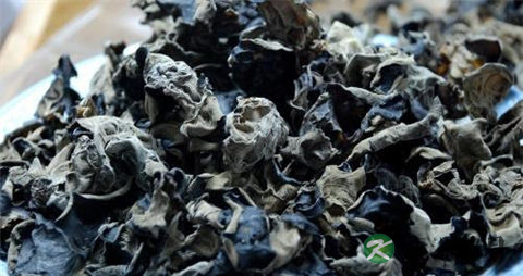冬季哮喘患者要注意什么 冬季哮喘患者要注意什么