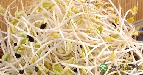 冬季吃什么皮肤好 冬季吃什么皮肤好