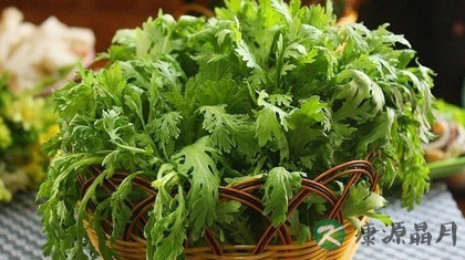 冬天中午吃什么菜好 冬天中午吃什么菜好