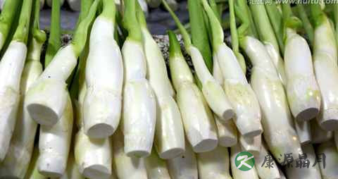 孕妇冬季吃什么蔬菜好 孕妇冬季吃什么蔬菜好