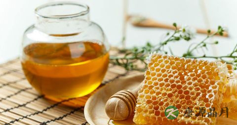 冬季吃蜂蜜的做法 冬季吃蜂蜜的做法