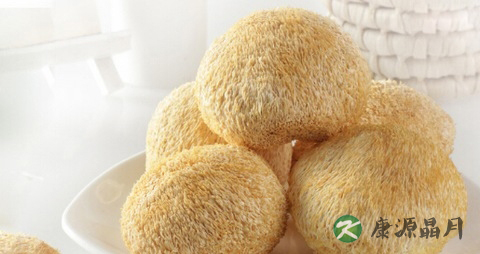 冬季吃猴头菇的禁忌 冬季吃猴头菇的禁忌