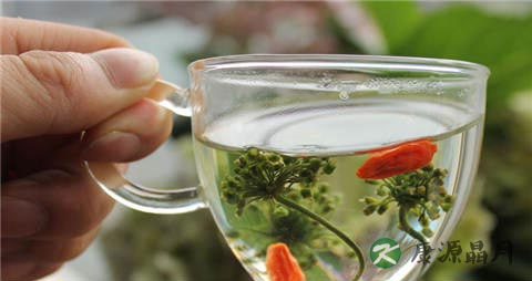 冬天养生花茶有哪些 冬天养生花茶有哪些