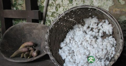 冬季吃番薯的注意事项 冬季吃番薯的注意事项
