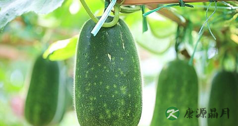 冬天吃什么菜比较好 冬天吃什么菜比较好