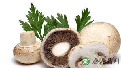 秋冬季预防感冒的20种食物 秋冬季预防感冒的20种食物