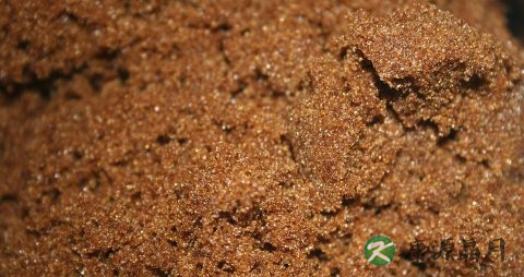 经期的症状 经期的症状