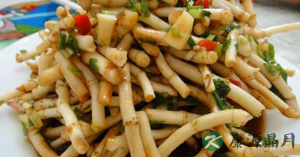 夏季清热养肺最好野菜——鱼腥草 夏季清热养肺最好野菜——鱼腥草