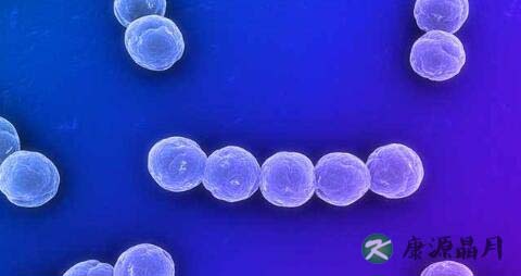 念珠菌感染症状 念珠菌感染症状