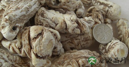 气血不足让你的头发又黄又枯
