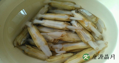 指甲贝怎么清洗 指甲贝怎么清洗