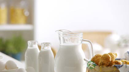 牛乳的功效与作用_牛乳的药用价值 牛乳的功效与作用_牛乳的药用价值